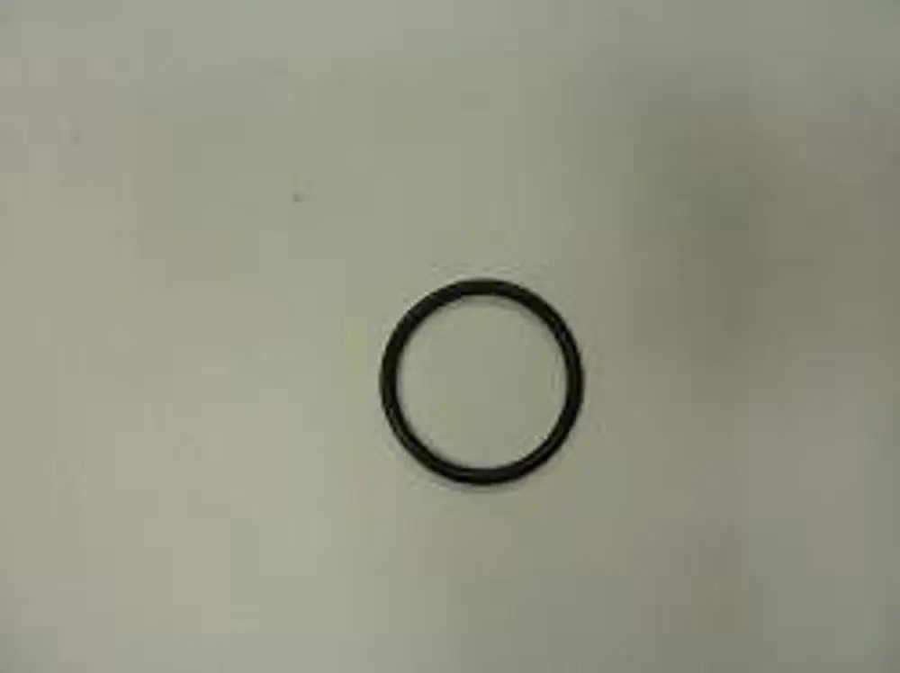 Schwarzer O-Ring auf hellem Hintergrund, möglicherweise für Dichtungsanwendungen. Produkt aus dem Sortiment von Remeha.